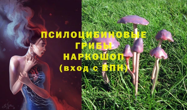 метадон Абаза