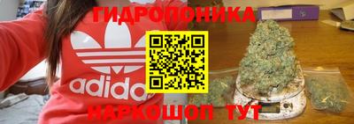 прущие грибы Нягань
